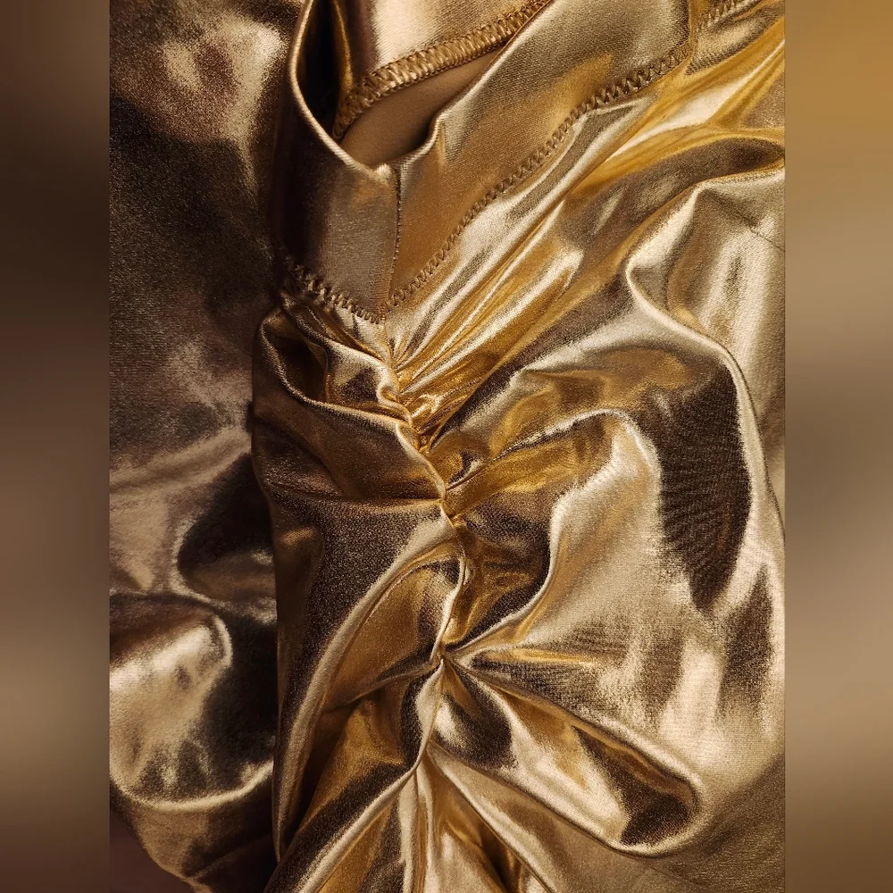 SKIMS Metallic Swim Gold Pant Rouched V Waist 2X
